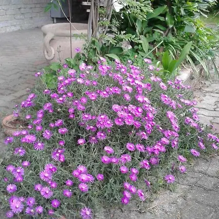 Bed & Breakfast Comfort Candiolo